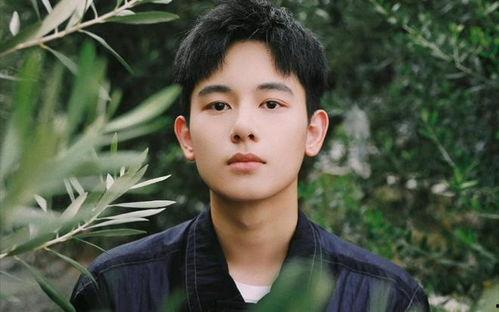 胡先煦娱乐八卦爆料视频,揭秘明星幕后故事  第2张