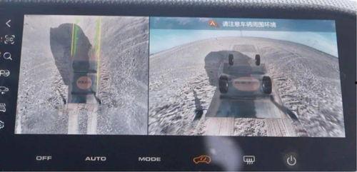 宝哥爆料大狗视频,大狗视频背后的惊人真相  第3张